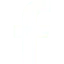 Google Icon